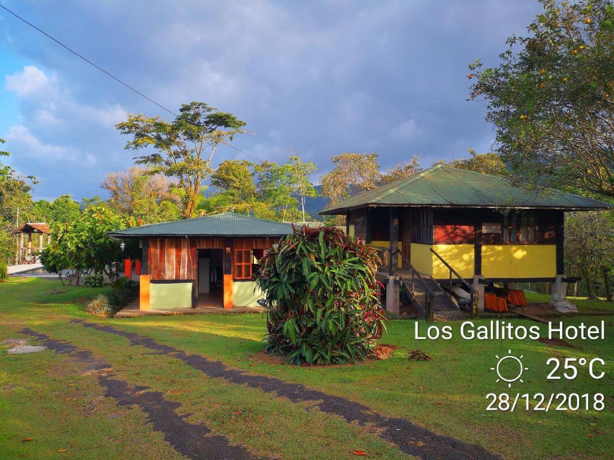 Los Gallitos Eco Lodge San Miguel  Cameră foto